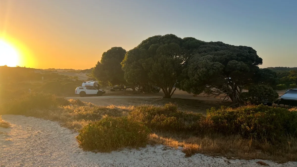 Sunset camping under ancient trees at our coastal caravan site