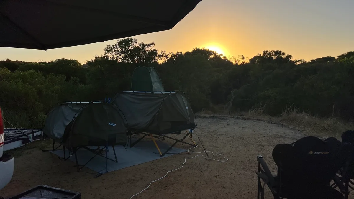 Off-ground swag tent at dusk in coastal bushland