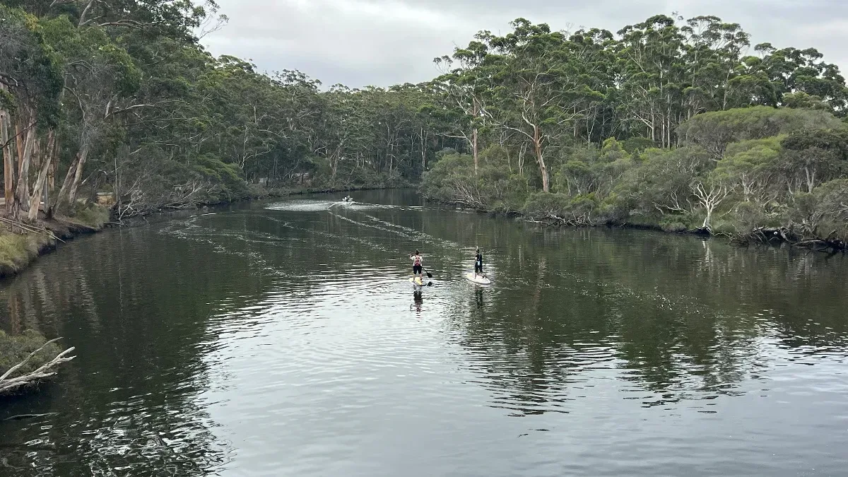 Paddle boarders enjoy the calm surface of the river.