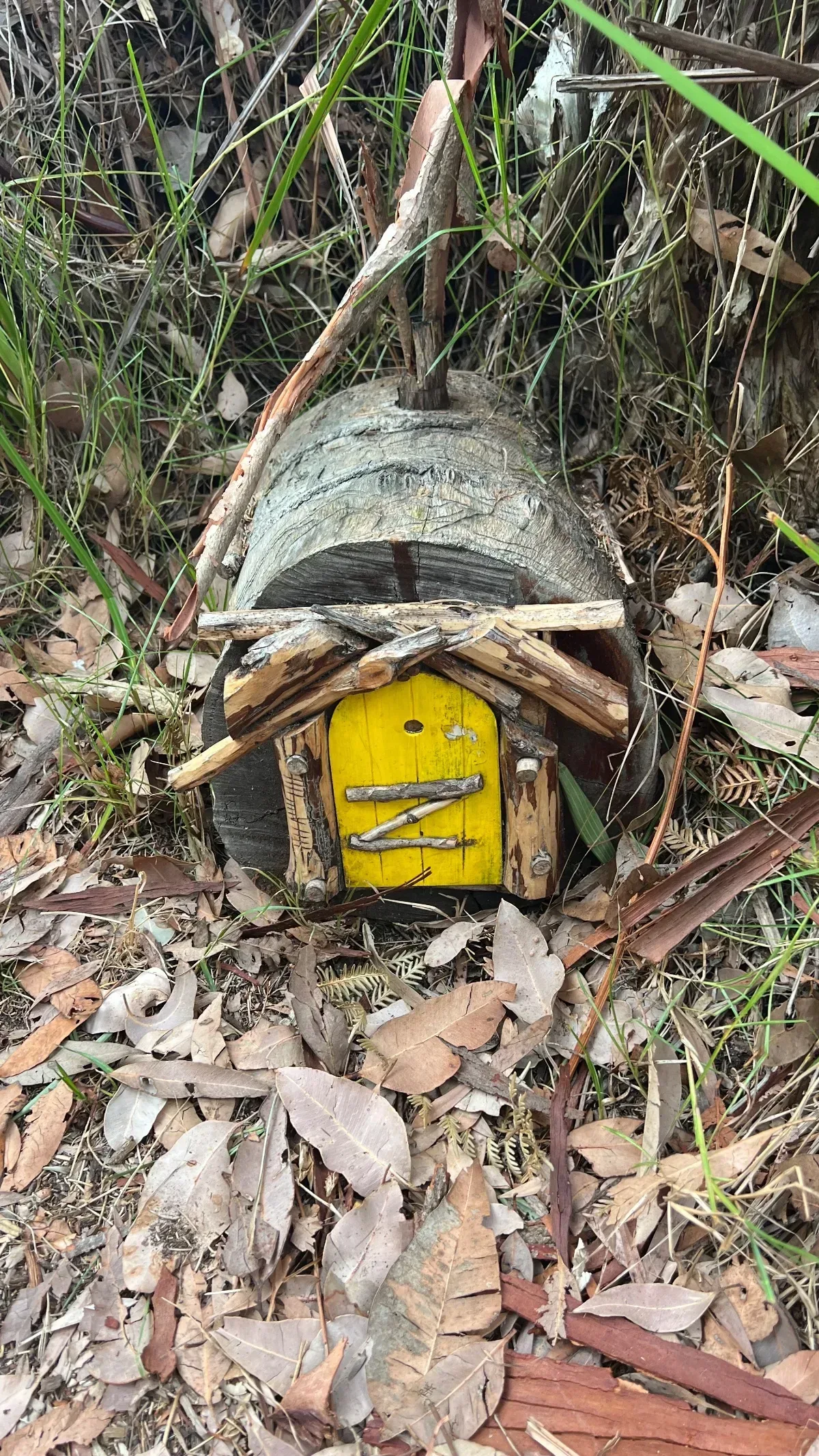 A tiny yellow door is built into a fallen log, waiting for its fairytale inhabitants.