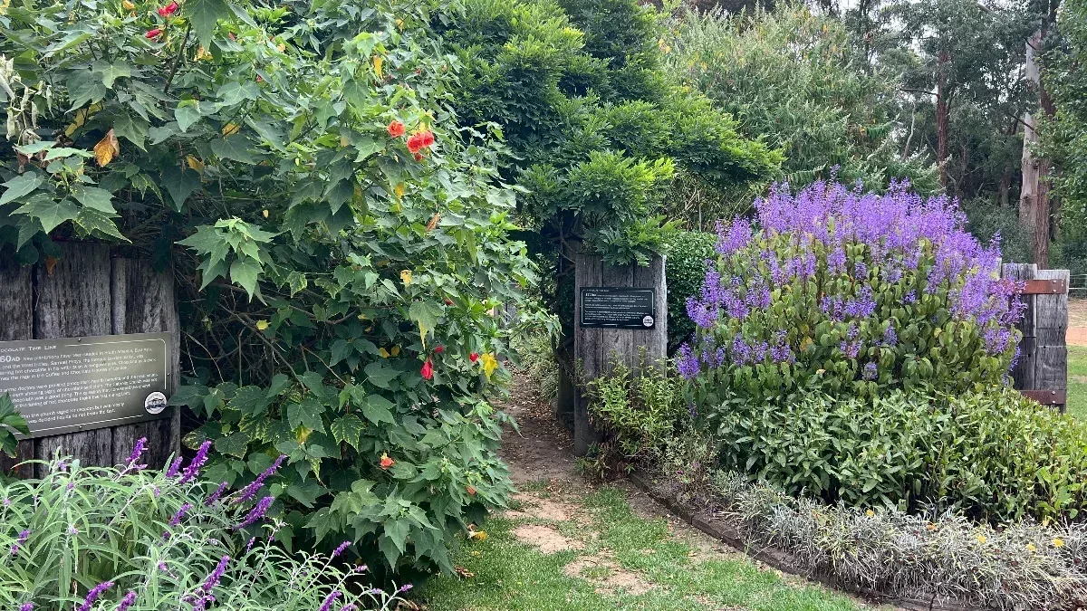 History meets horticulture in the chocolate timeline garden.