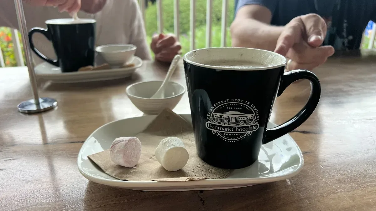 A steaming mug of hot chocolate, complete with marshmallows, provides a perfect warm treat on a chilly day.