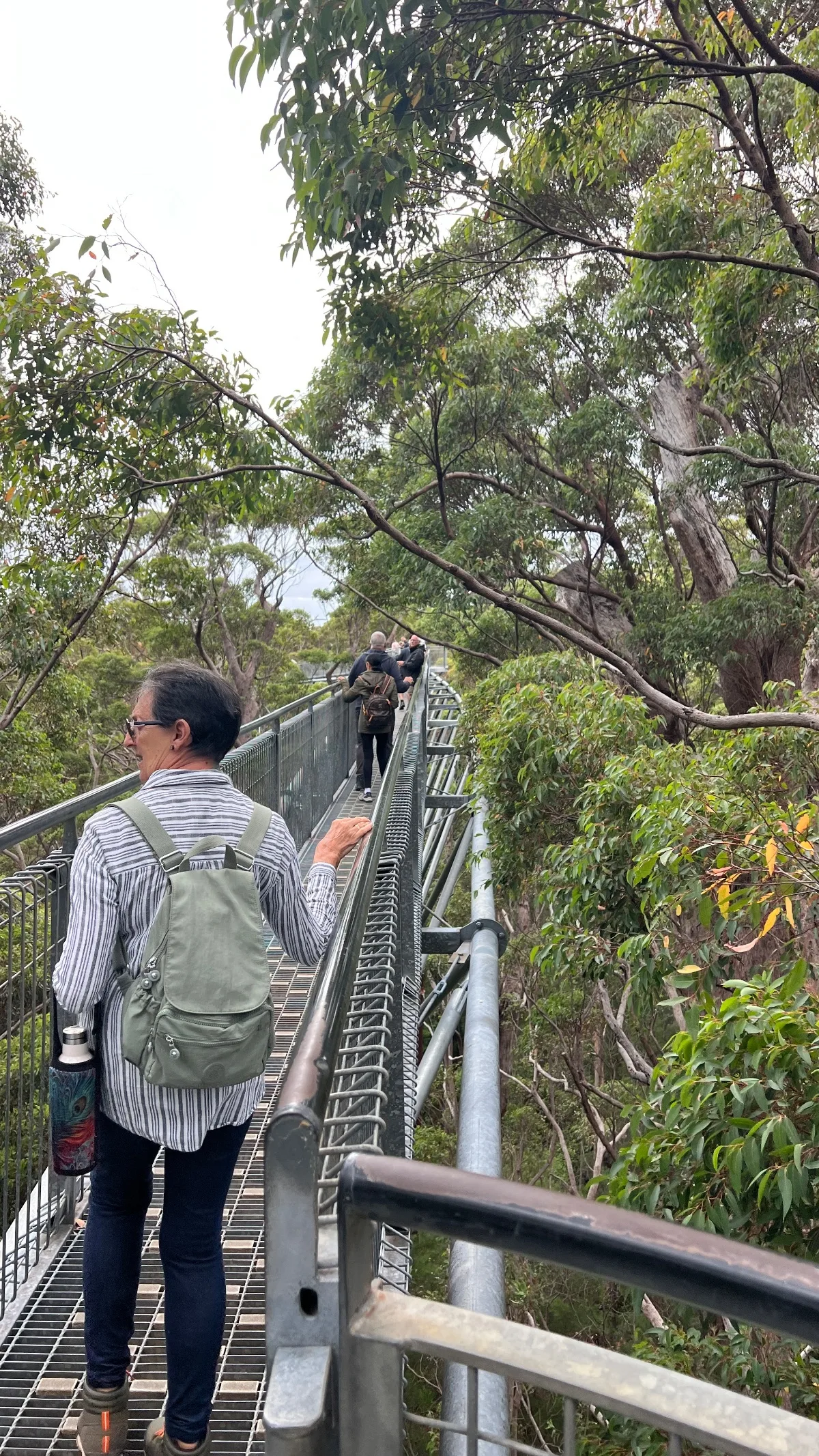 Lisa enjoying the Treetop Walk, a suspension bridge providing amazing views of the forest canopy.