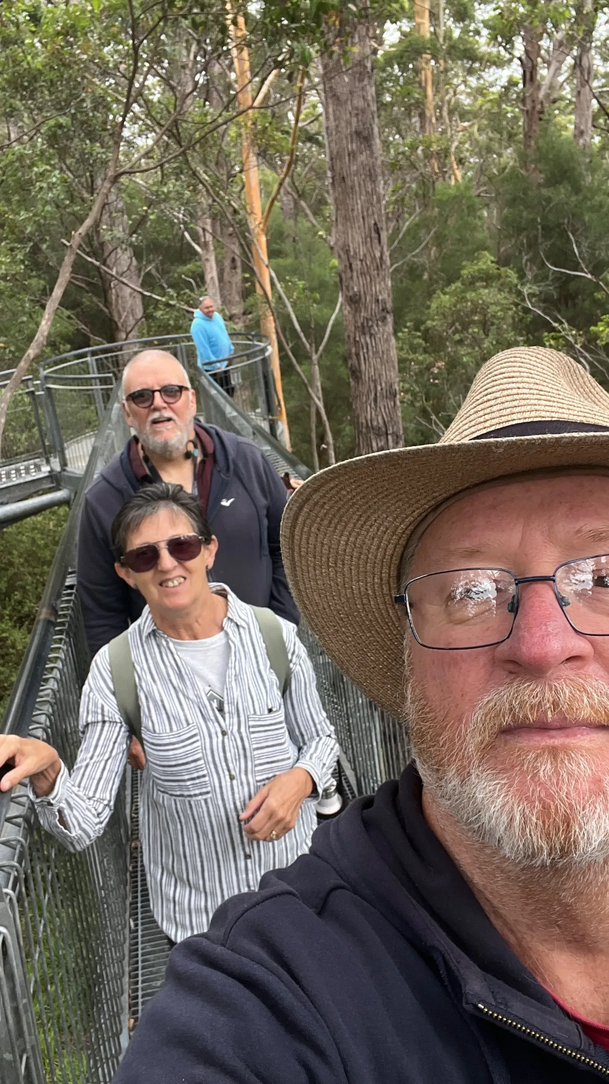 High above the forest floor at the Valley of the Giants Treetop Walk.